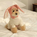 Winter Warmth Pet Hat for Dogs and Cats
