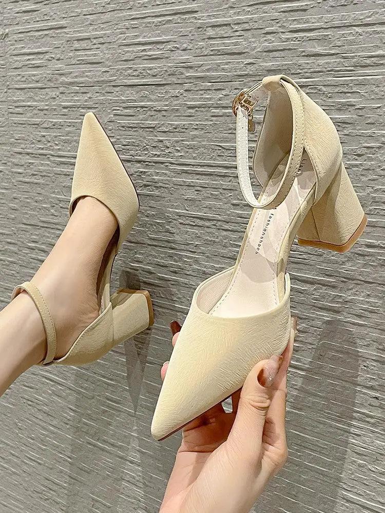 Chunky Heel Black Women Shoes French Winter Style 2022