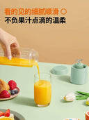 Juicer Small Portable For Home Electric Frying Fruit Juicer