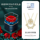Lucky Clover Necklace for Valentine