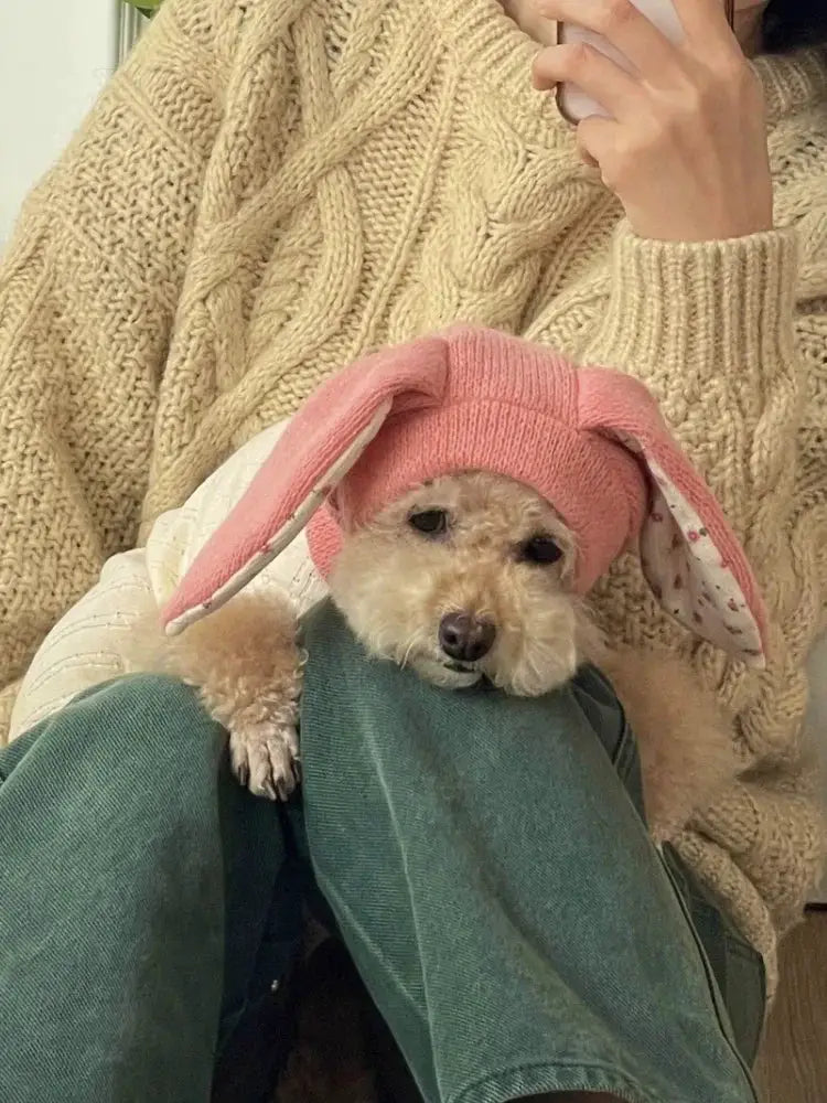 Pet Hat Autumn Winter Warm Knitted Hat With Cute Rabbit Ears