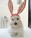 Winter Warmth Pet Hat for Dogs and Cats