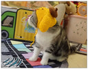 Handmade Cat Headdress For Cute Disguise
