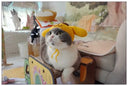 Handmade Cat Headdress For Cute Disguise