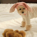 Winter Warmth Pet Hat for Dogs and Cats