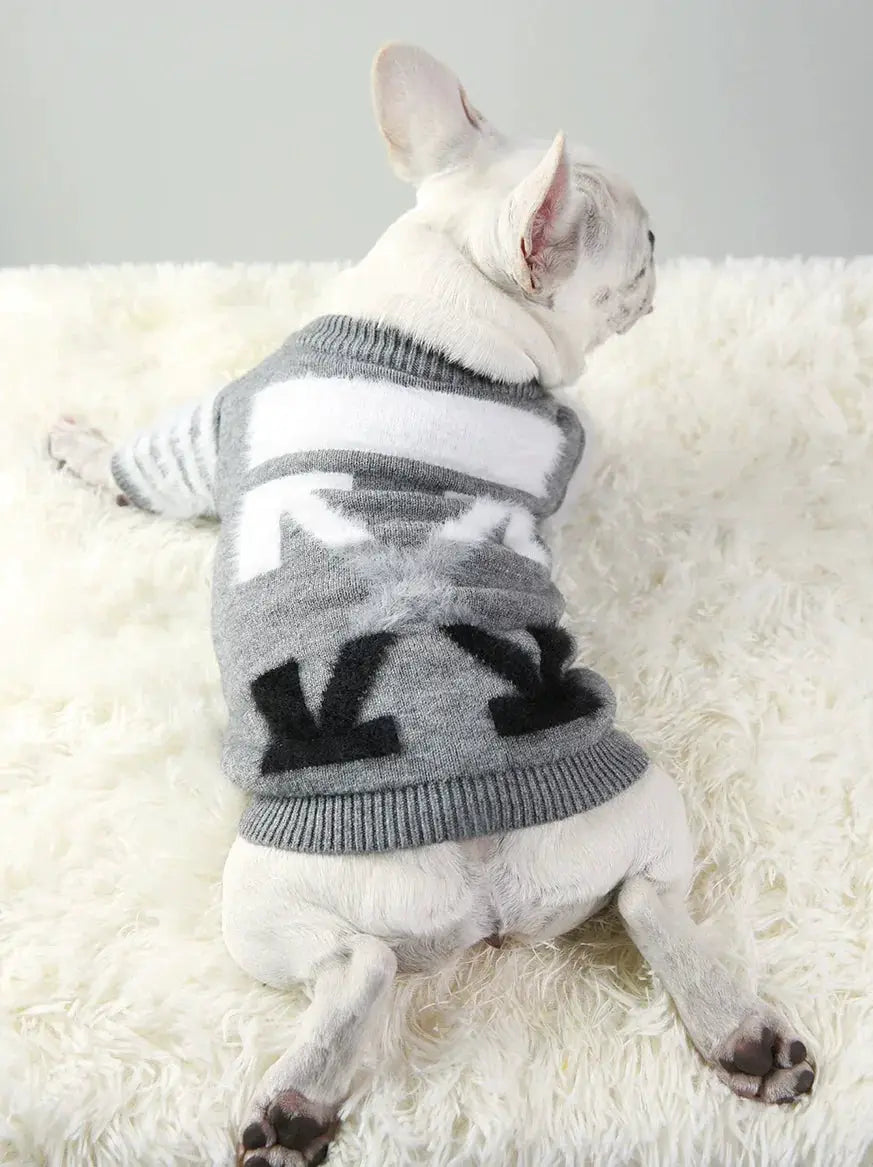 Pet Trendy Velvet Padded Winter Dog Sweater Big Brother