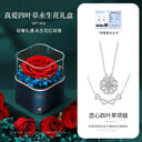Lucky Clover Necklace for Valentine