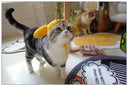 Handmade Cat Headdress For Cute Disguise