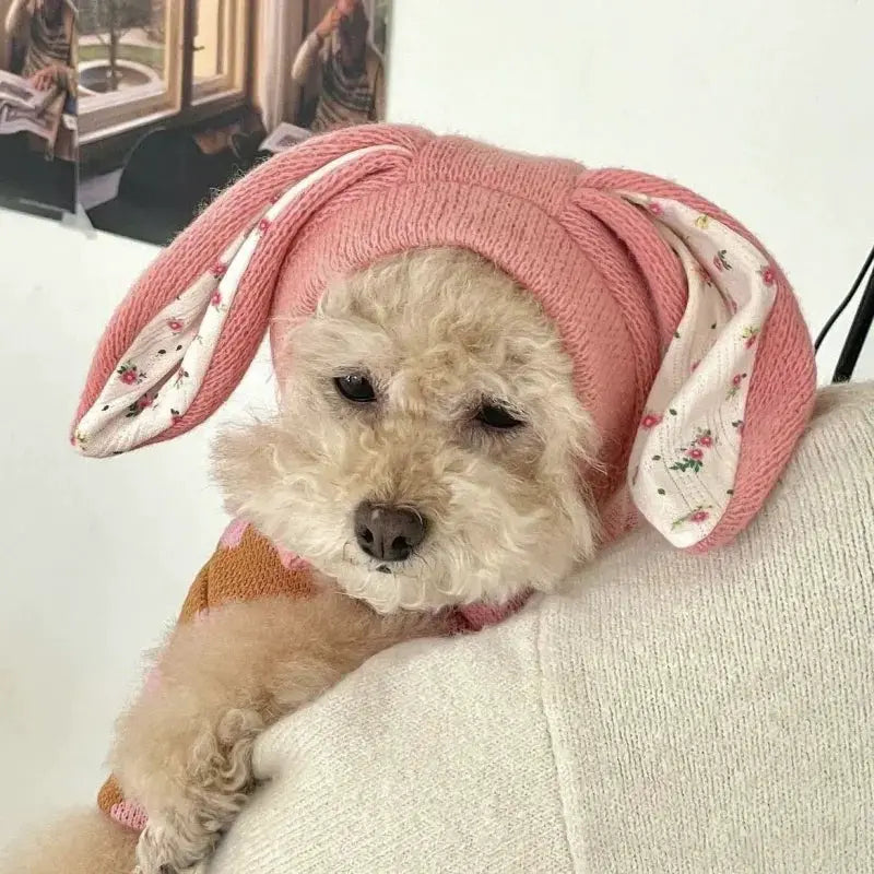 Pet Hat Autumn Winter Warm Knitted Hat With Cute Rabbit Ears