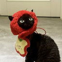 Cat Accessory Rabbit Headdress for Pics