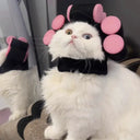 Cat Accessory Rabbit Headdress for Pics