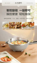 5.5L Electric Fry Pan for Family Meals