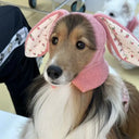 Winter Warmth Pet Hat for Dogs and Cats