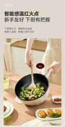 Fast Heating 2L Multi Cooker for Solo