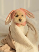 Winter Warmth Pet Hat for Dogs and Cats