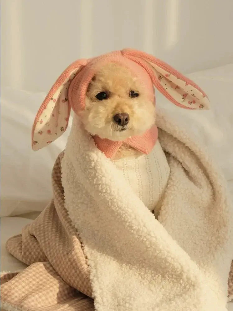 Pet Hat Autumn Winter Warm Knitted Hat With Cute Rabbit Ears
