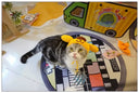 Handmade Cat Headdress For Cute Disguise