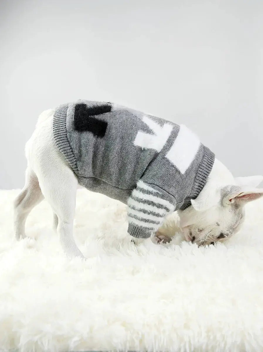 Pet Trendy Velvet Padded Winter Dog Sweater Big Brother