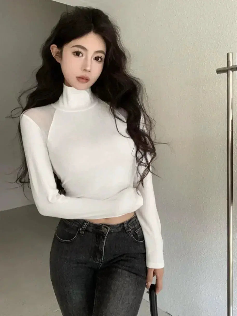 Spring Youth Mesh Turtleneck Top For Trendsetting Style