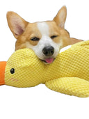 Durable Dog Chew Toy for Large Dogs