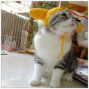 Handmade Cat Headdress For Cute Disguise