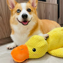 Calming Dog Toy for Corgi Puppies Chews