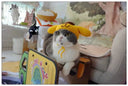 Handmade Cat Headdress For Cute Disguise