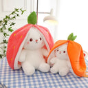 Pacify Transformation Bunny Girl Gift Ragdoll Doll For All Ages