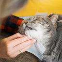 Soft Lavender Pet Grooming Fresh Wipes