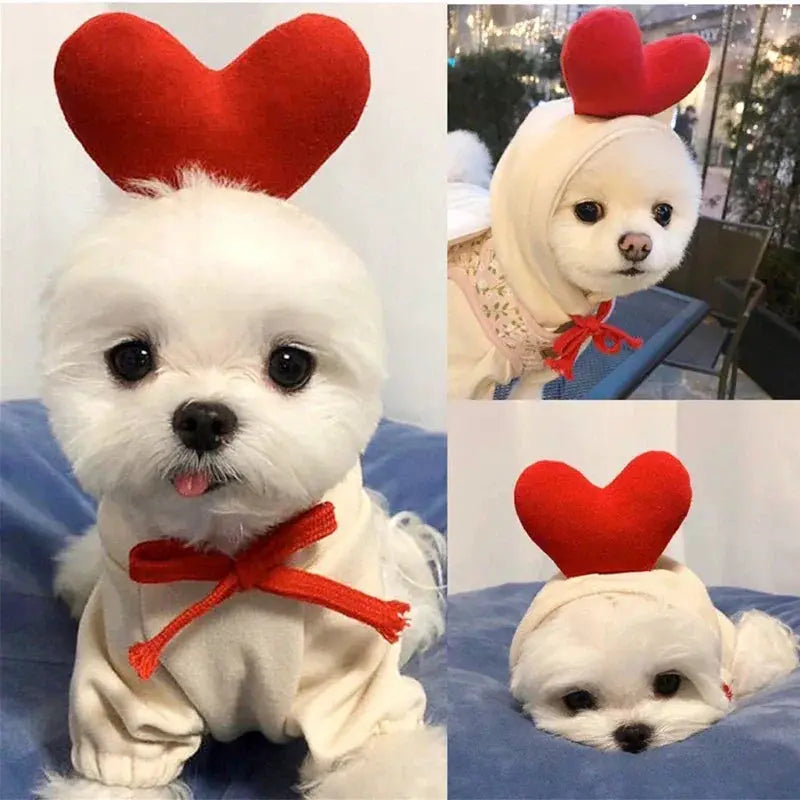 Cute Fruit Dog Clothes For Small Dogs Warm Fleece Hoodie