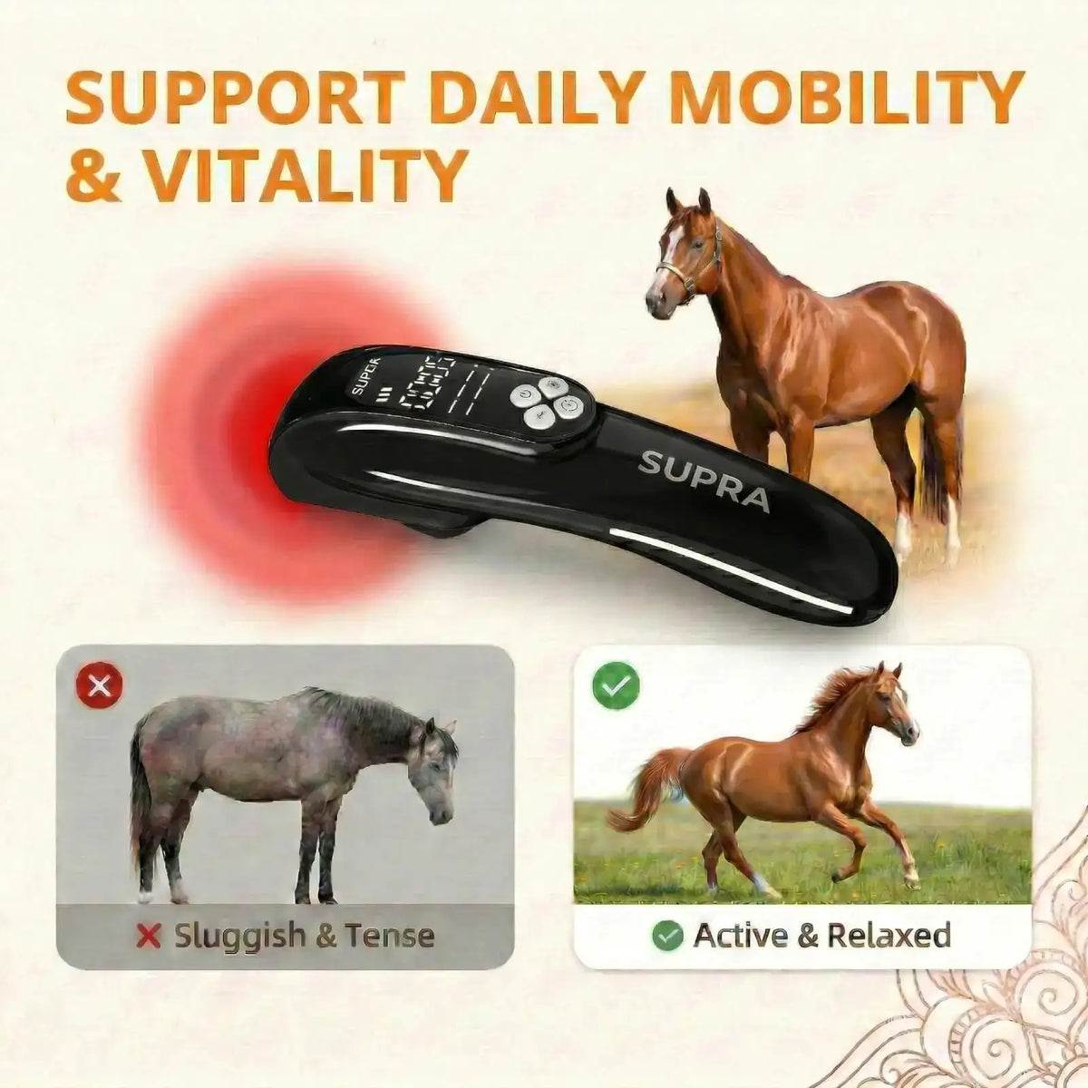 Laser Therapy for Horses Tens Red Light Therapy Physiotherapy — product view 2