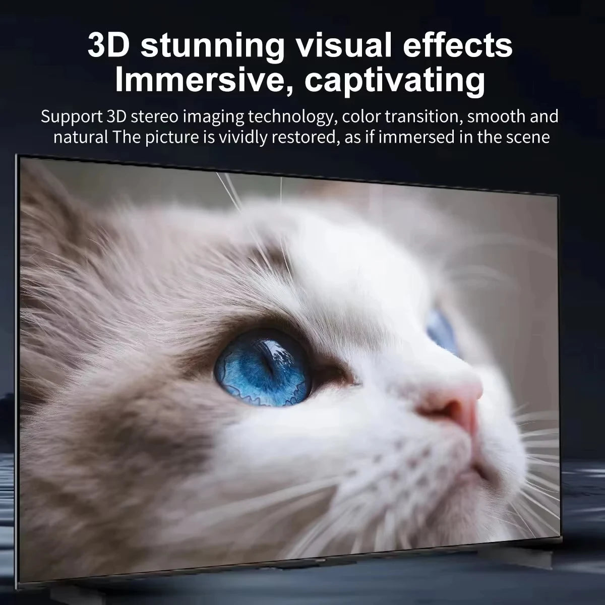 4K HDMI Video Cable