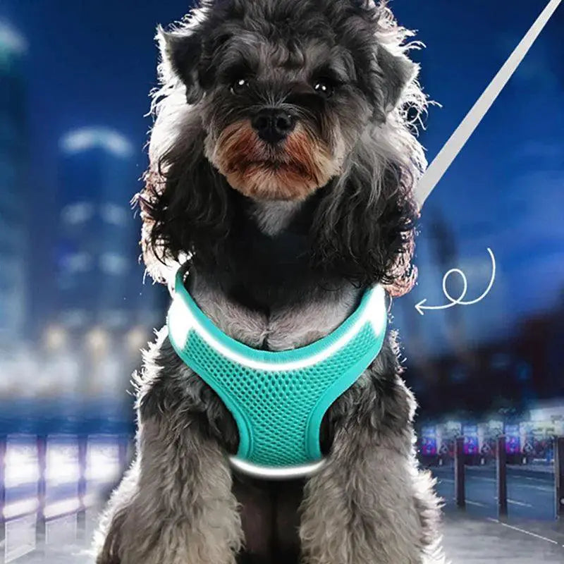 Madden Reflective Breathable Harness and Leash Set