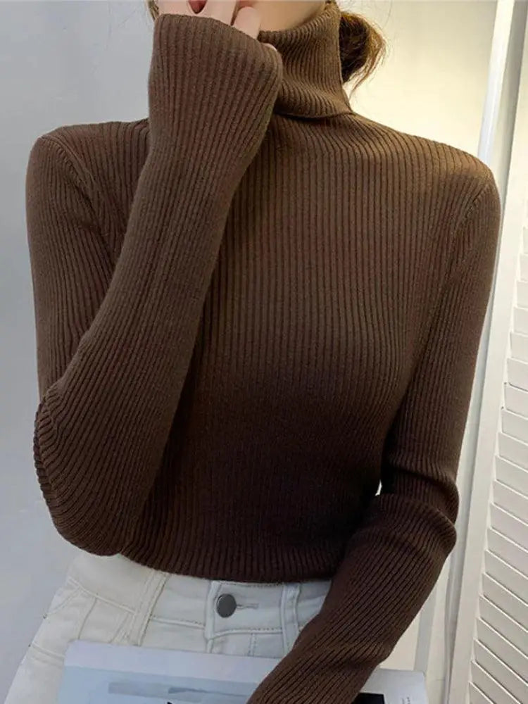 Cozy Chic Slim Fit Turtleneck Sweater For Fall Fashion