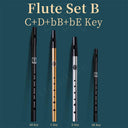 Versatile Irish Whistle Flute in C/D/bE/bB Keys
