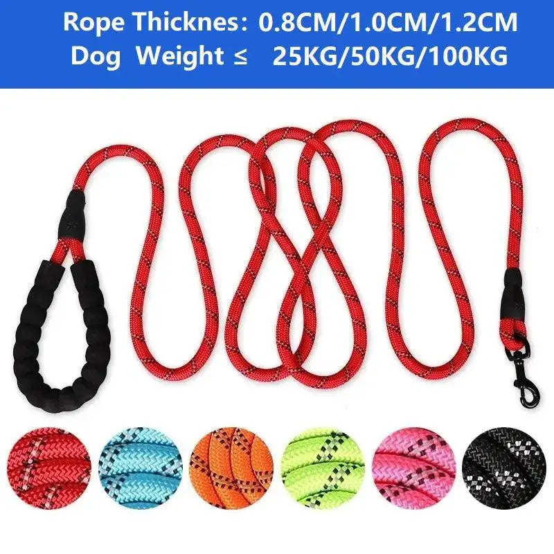 Strong Leash For Dogs With Soft Handle And Reinforced Design