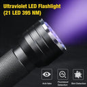 LED UV Blacklight Mini Torch Flashlight for Pet Stains