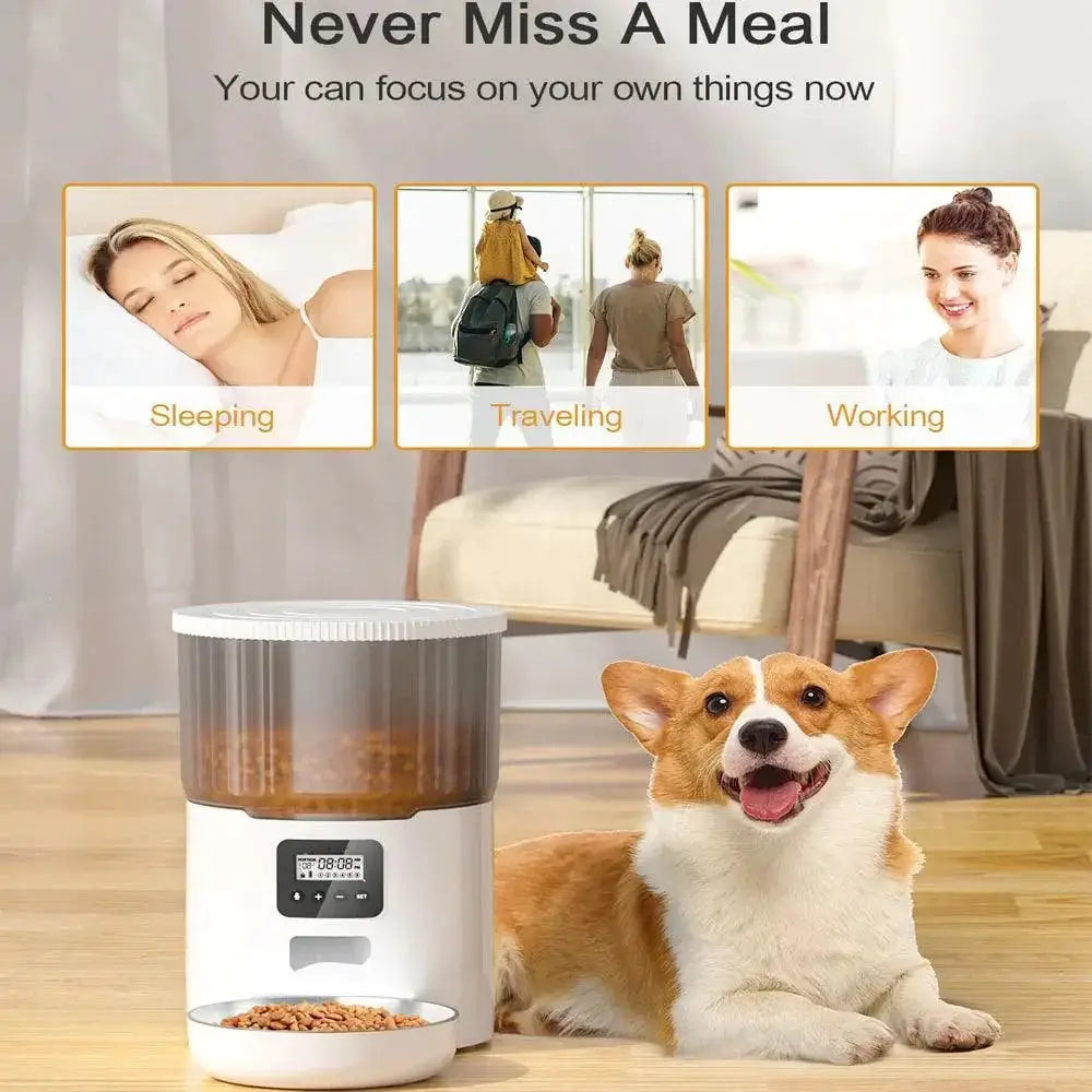 Smart Pet Feeder WiFi Automatic Food Dispenser And Fountain