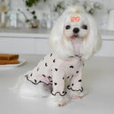 Fashionable Waffle Vest for Pets Cozy Embroidered Bear Wear