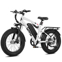 Qlife Fat Tire Ebike - Mile Range