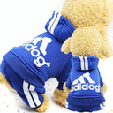 Adidog Sweater Keeps Small Dogs Warm