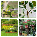 Cordless Pruning Shears for Home Gardens