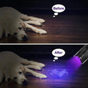 Portable Mini UV Flashlight for Pet Urine Detection