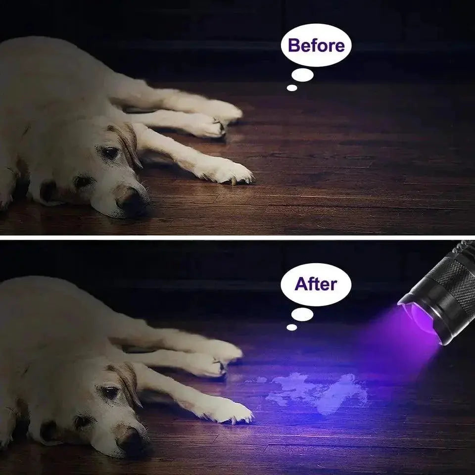 Portable Mini UV Flashlight For Pet Urine Detection