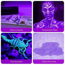 UV Flashlight - Spot Stains And Bed Bugs Easily