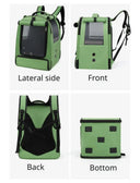 Breathable Parrot Backpack for Travel