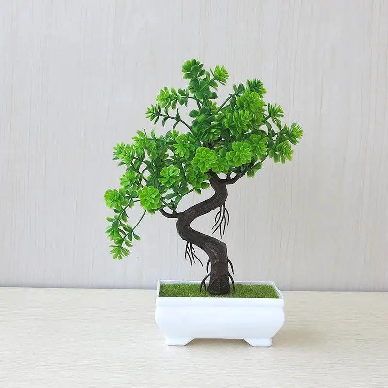 Low Maintenance Bonsai Desk Plant Decor — C7