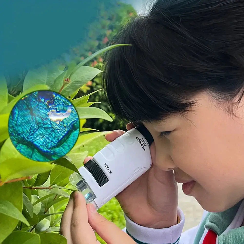 Educational Handheld Microscope Kit 60 To 120x LED For Kids