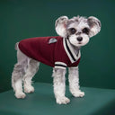 College Style V Neck Pet Sweater For Small Medium Dogs Cats