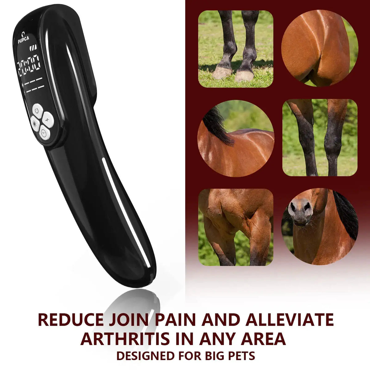 Laser Therapy Device for Horse Pets Humans Upgraded Red Light — product view 5